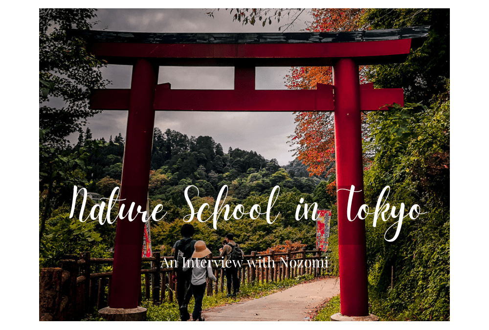 Wild Free Building A Homeschool Community In Tokyo - Roots Of Wonder